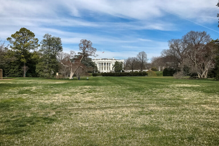 The White House