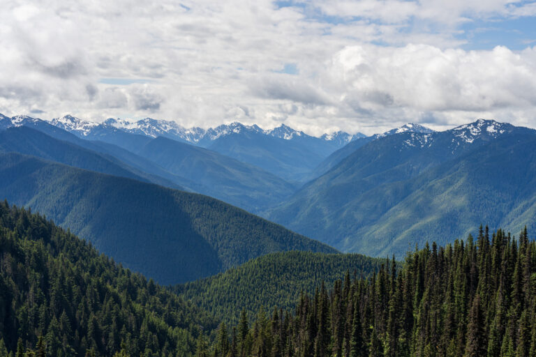 Hurricane Ridge