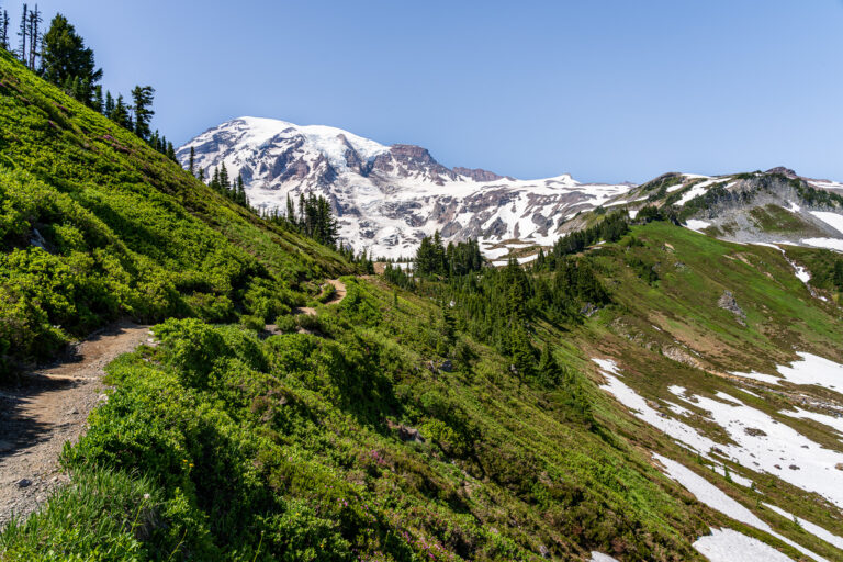 Alta Vista - Mt. Rainier National Park